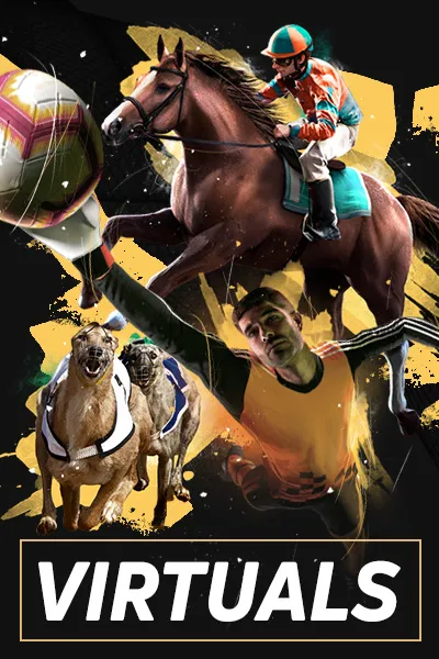 Virtuals game cover